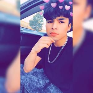 Meet your Posher, Felix